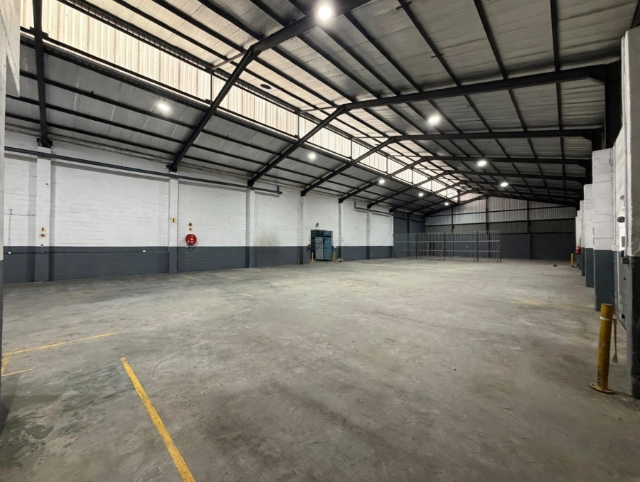 To Let Commercial Property for Rent in Retreat Western Cape
